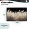 Stupell Industries White Feathers Windblown Grasses Framed Giclee, design by Decent Exposures